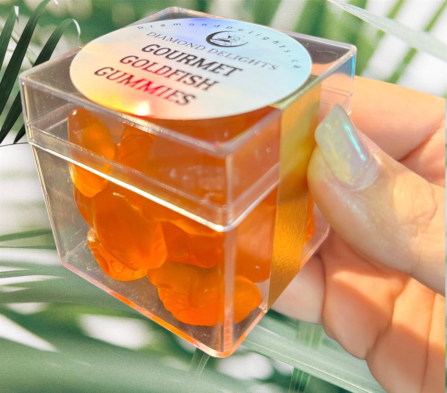 Gourmet Goldfish Gummies Candy Cube | Diamond Delights