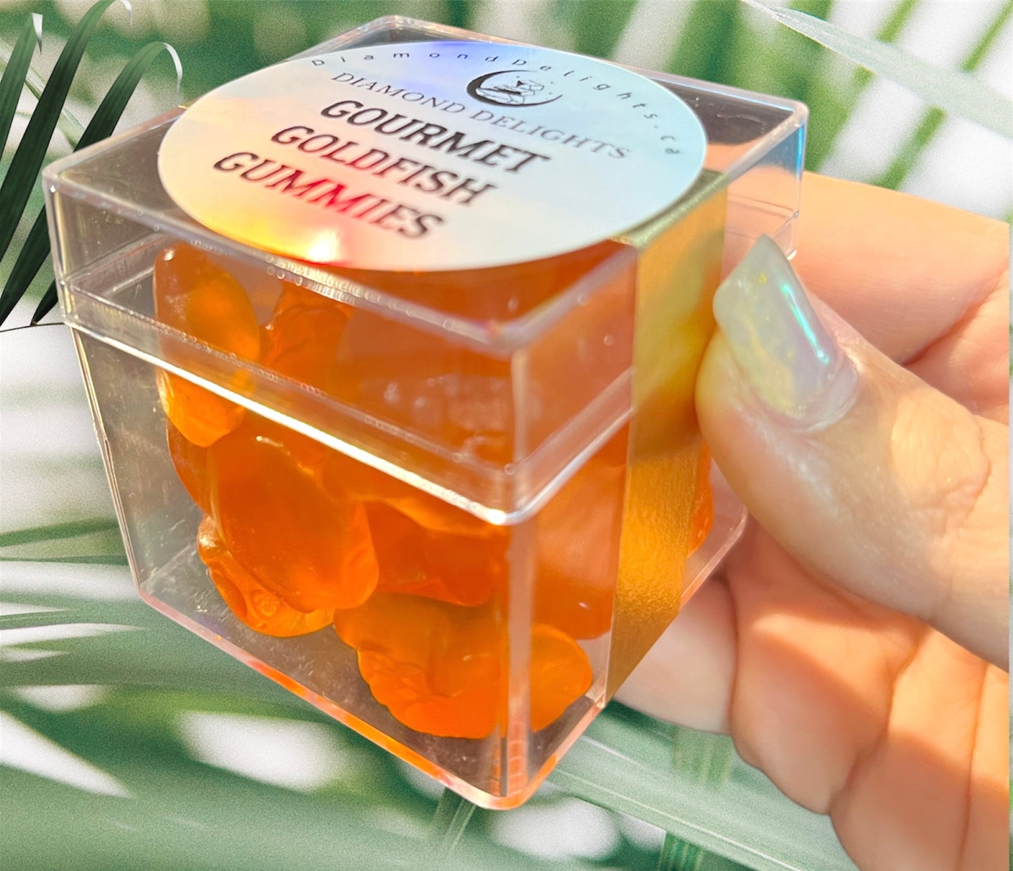 Gourmet Goldfish Gummies Candy Cube | Diamond Delights