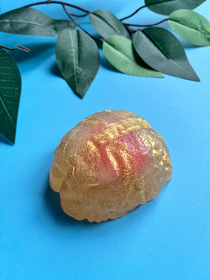 🧠 Jam Brains – Fruity Stuffed Crystal Candy