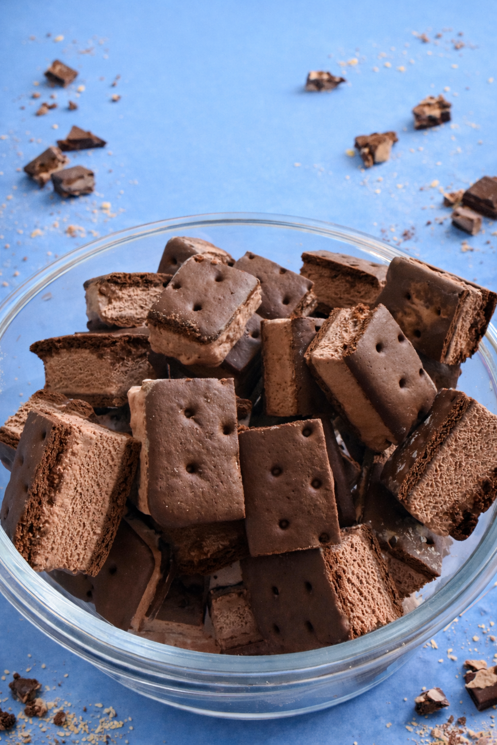 Freeze Dried Chocolate Ice Cream Sandwich