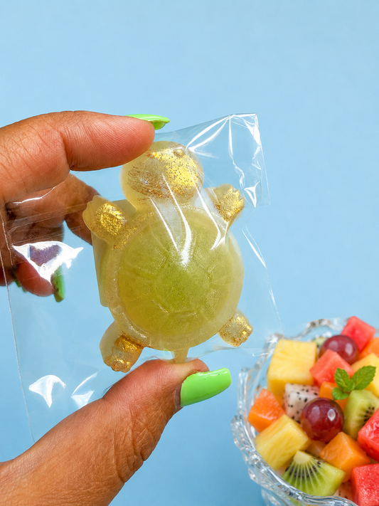Tutti Frutti Turtle with Swedish Happy Flowers 🐢🌺